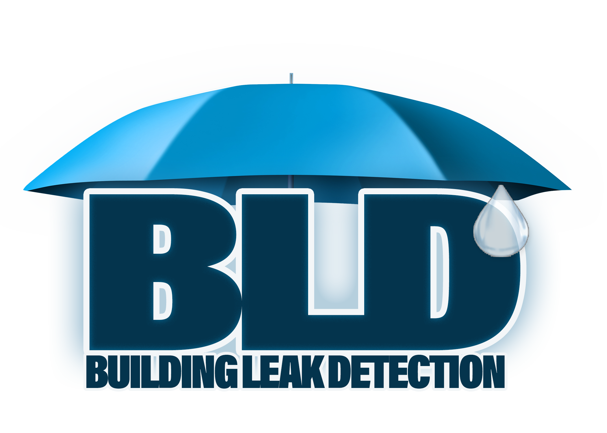 Building Leak Detection logo
