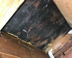 Leaking deck inspection in Los Angeles