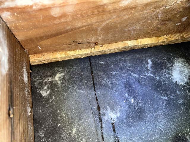 Santa Clartia stucco wall and Window Leaks7 stucco wall water intrusion testing in Los Angeles