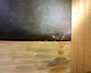 stuccoslide10 Water leaking through stucco wall covering