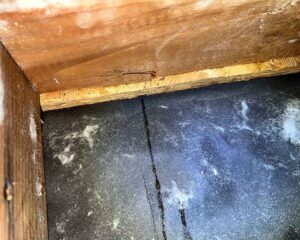 stuccoslide3 Water leaking through stucco wall covering