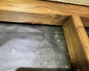 stuccoslide4 Water leaking through stucco wall covering