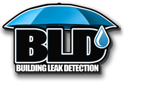 Building Leak Detection