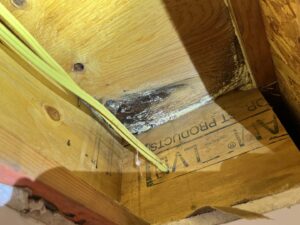 Stucco Rain leak investigations and testing in Los Angeles | Water intrusion specialists