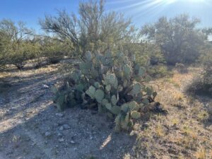 Window and Stucco Leak Testing in Tucson Arizona