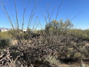 Window and Stucco Leak Testing in Tucson Arizona